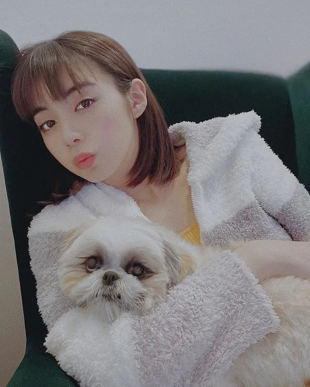 ③犬の瞳のインスタ